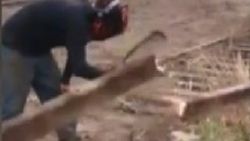 ABD'de çalışan işçinin suratına kestiği ray çarptı