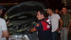 Ordu’da kedi kurtarma operasyonu