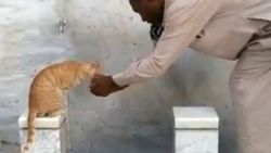 Kutsal topraklarda kediye elleriyle su içirdi - İZLE