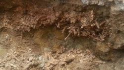 İSKİ kazısında insan kemiklerine rastlandı