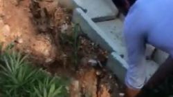 3. köprü bağlantı yolu kenarında hint keneviri bulundu
