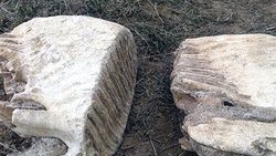 Kırgızistan'da yeni mamut kalıntısı