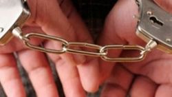 Kırmızı bültenle aranan zanlı Bulgaristan'da yakalandı