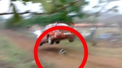 Ralli arabası köpeğin üzerinden uçtu
