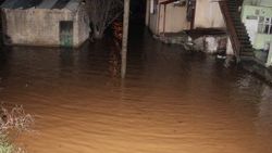 Bitlis'te şiddetli yağış sel baskınına sebep oldu