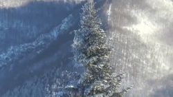 Bolu Dağı'nda muhteşem kar manzarası