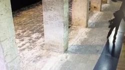Ulu Cami'de ayakkabı hırsızı kameraya yakalandı