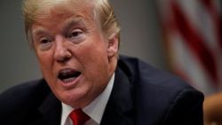 ABD Başkanı Trump'ın ismi artık amfibik bir canlıya ait