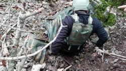 Siirt'te PKK'ya yönelik operasyon düzenlendi.