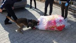 Uyuşturucu tacirleri 10 kilo esrarı çeyiz içine sakladı