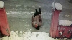 Isparta'da yaşlı adamın buzlanan yolda düştüğü an