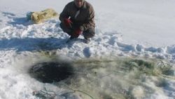 Ardahan'da Eskimo usulü ile balık avlıyorlar