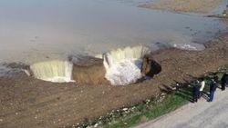 İzmirli obruk gördü