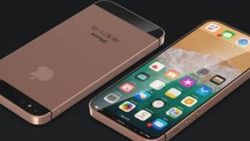 Apple'ın küçük ve ucuz iPhone'undan yeni görüntüler