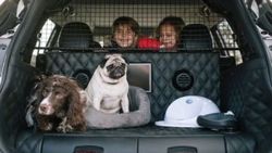 Köpeğin için 'Nissan X-Trail' ister misin çocuk adam