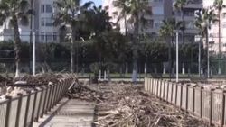 Fırtınanın sürüklediği odunları değerlendirdiler