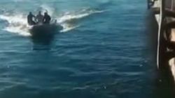 Zodyak botlu kedi kurtarma operasyonu