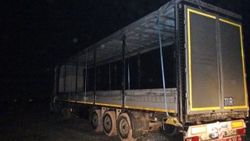 Tır sürücüsünü öldürüp kasadaki bakır kabloları çaldılar