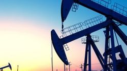 TPAO'ya 7 petrol arama ruhsatı verildi