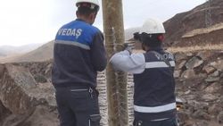 VEDAŞ’ın ayılarla başı dertte