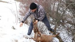 Yol kenarında çuval içinde telef olmuş 3 buzağı bulundu
