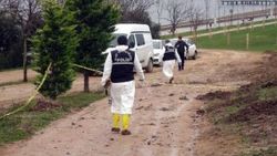 Palu Ailesi davası: Kemikler hayvanlara ait çıktı