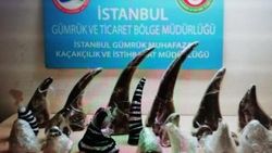 Atatürk Havalimanı'nda gergedan boynuzu operasyonu