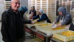 Jeotermalle kurutulan yaş, sebze ve meyveler ihraç