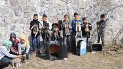 Köpek yavrularına öğrenciler ve öğretmenleri sahip çıktı