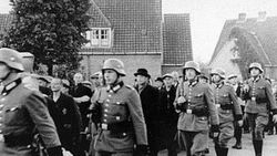 Hollanda'da eski askerlere Hitler maaşı skandalı