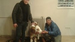 Doğumdan sonra annesinin yanından kaçtı