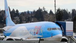 Boeing, 737 Max uçak filosunun tamamını uçuştan kaldırdı