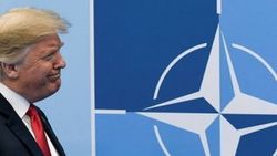 NATO'ya en çok bütçeyi ABD ayırıyor