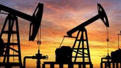 OPEC'in üretimi şubatta azaldı