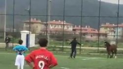 Bursa'da futbol turnuvasında sahaya giren at korkuttu