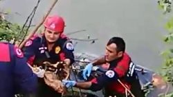 Motosiklet kazasında sürücü öldü tavuk ve civciv kurtuldu