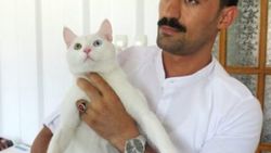 Gaziantep'te bir adam kedisi için 190 bin lira harcadı