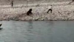 Kalabalığın önünde ayı saldırısına uğradı