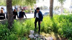 Boş arazide bulunan mezar panik yarattı