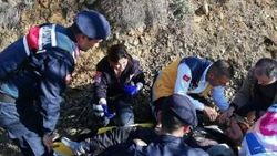 Ağaç budarken yamaçtan yuvarlandı