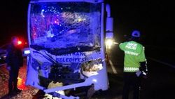 TEM’de aşırı sis zincirleme kazaya neden oldu: 1 yaralı
