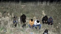 Göçmenleri yol kenarında bıraktı kaçtı
