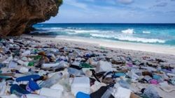 AP tek kullanımlık plastik ürünleri yasakladı