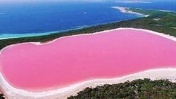 Avustralya’da bir göl pembe renge büründü