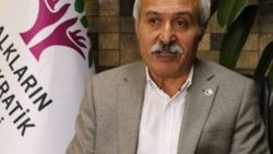 Diyarbakır'da kazanan HDP'nin adayı Mızraklı
