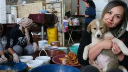 20 gönüllü, sahipsiz 600 köpeğe bakıyor