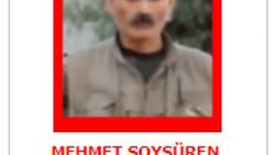 Kırmızı listedeki terörist etkisiz hale getirildi