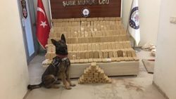 Van'da Rexo 155 kilorgram eroin yakaladı