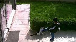 Kediye tekme atma davasında karar