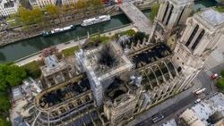 Notre Dame Katedrali'ndeki arılar kurtuldu